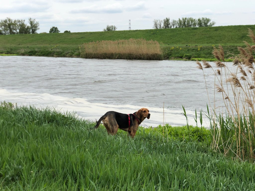 Honeyview_image00041.jpg