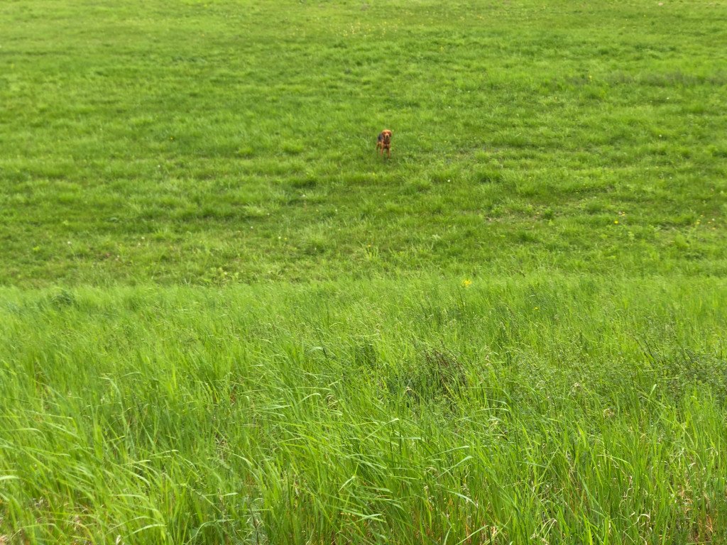 Honeyview_image00046.jpg