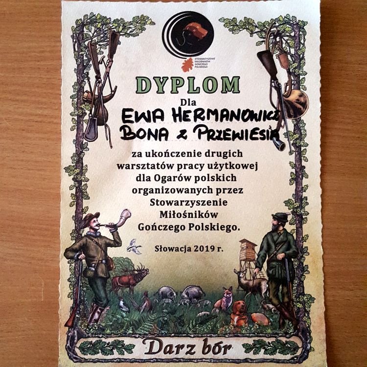 Dyplom dla Bony przygotowany przez organizatorów