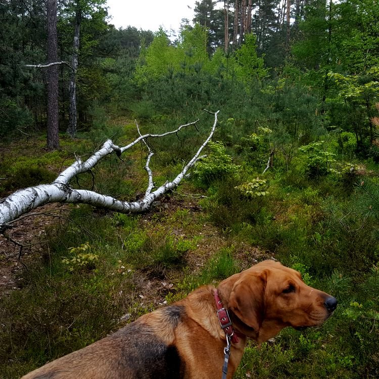 20190514_101849.jpg