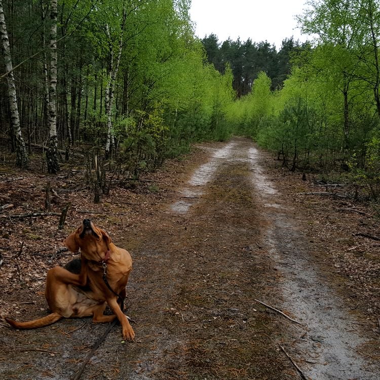 20190428_113853.jpg