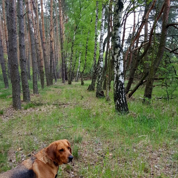 20190428_114934.jpg