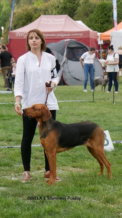 MYŚLIWSKA 158 OBIELA.jpg