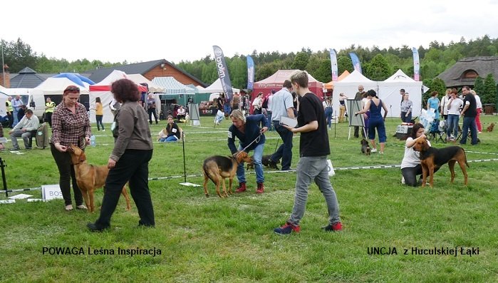 MYŚLIWSKA 160 162 163 SUKI-POWAGA UNCJA.jpg