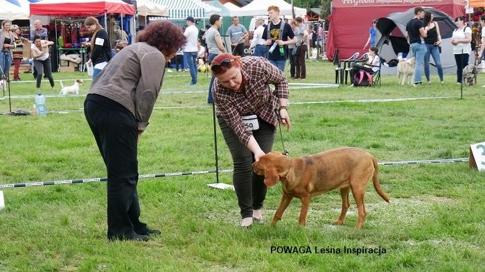 MYŚLIWSKA 160-01 POWAGA LI.jpg