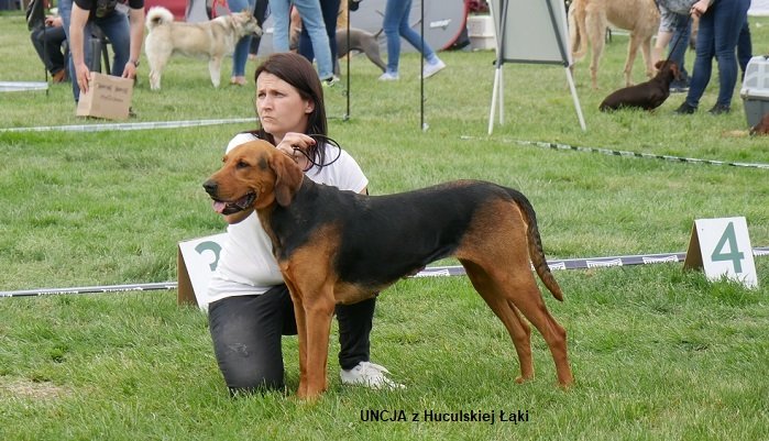 MYŚLIWSKA 163-01 UNCJA z Huculskiej Łąki.jpg