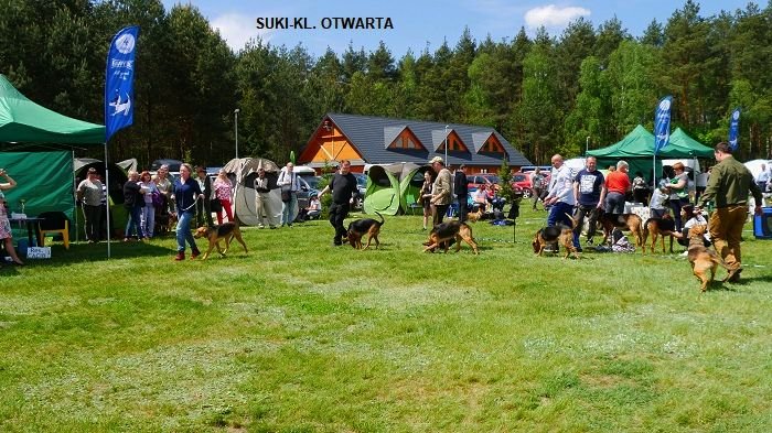 1230-1234 SUKI KL OTWARTA 01.jpg
