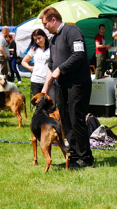 1230-1234 SUKI KL OTWARTA- RUSA Poszły w Las-P.jpg