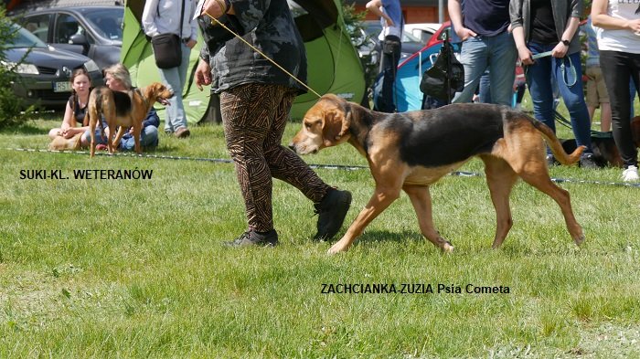 1237 ZACHCIANKA-ZUZIA PC.jpg
