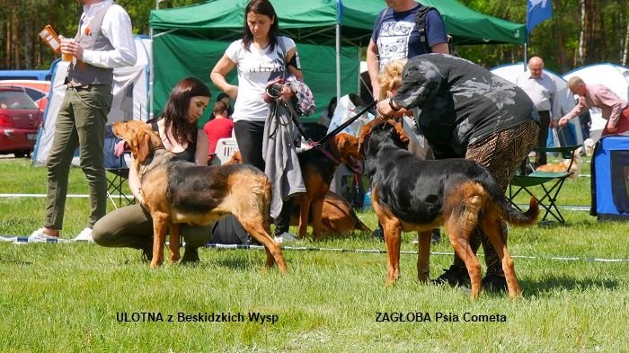 1234 1224 ULOTNA ZAGŁOBA.jpg