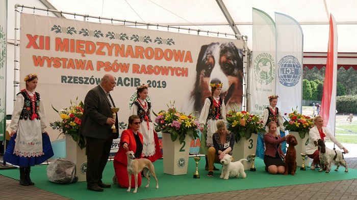 FINAŁ JUNIORÓW.jpg
