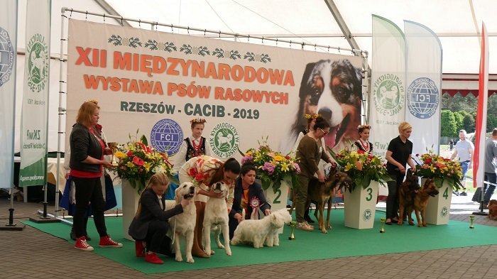 FINAŁ PARA HODOWLANA.jpg