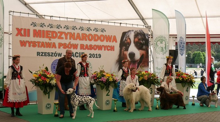 FINAŁ WETERANÓW.jpg