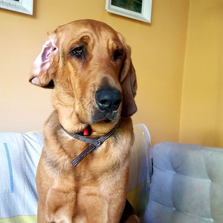 20190519_090809.jpg