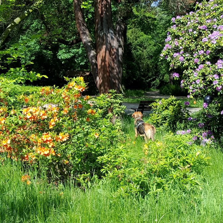 20190526_095936.jpg