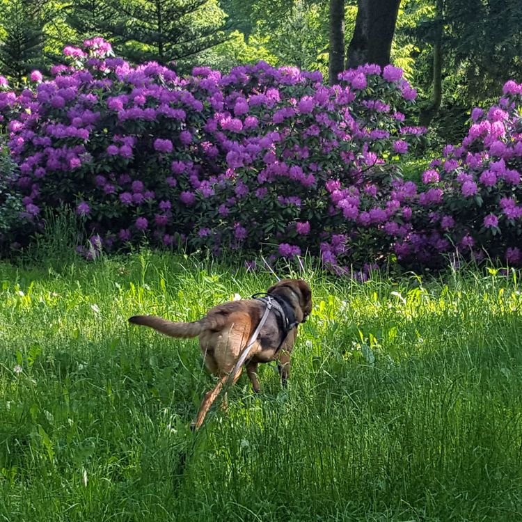 20190526_093958.jpg