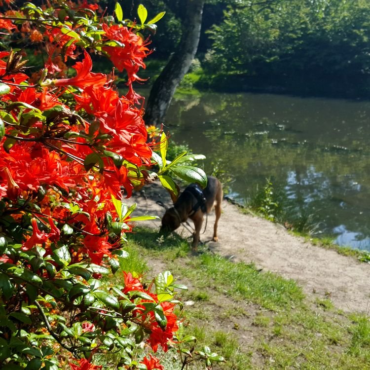 20190526_093420.jpg