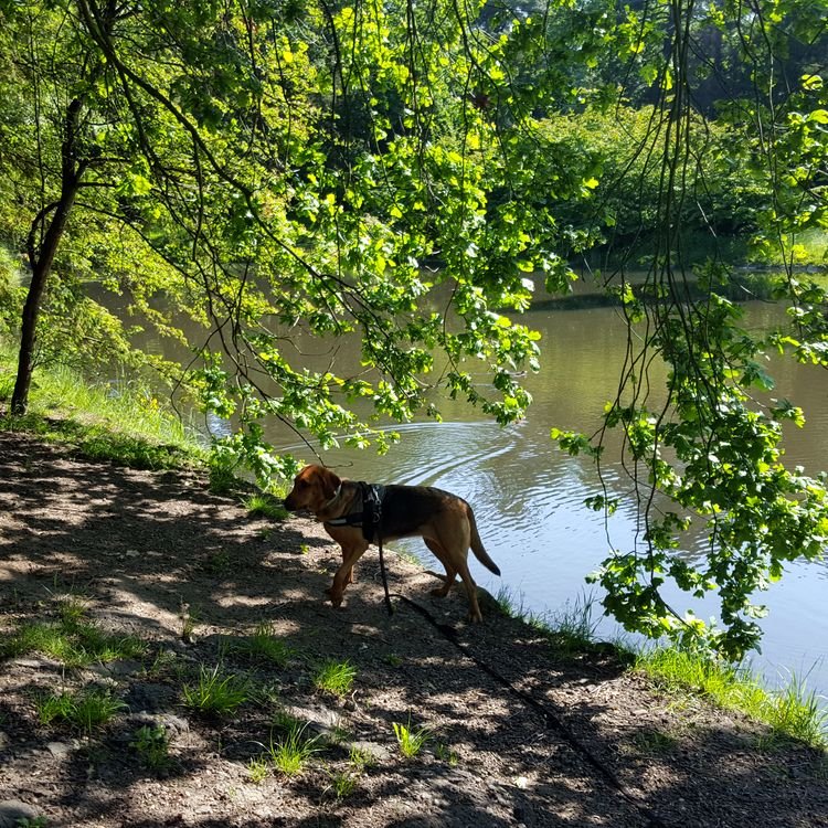 20190526_093326.jpg