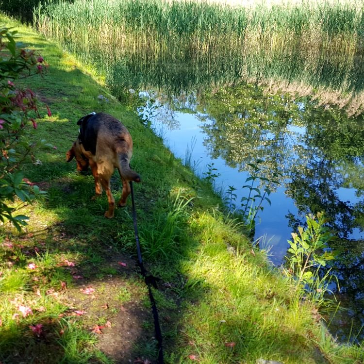 20190526_092346.jpg