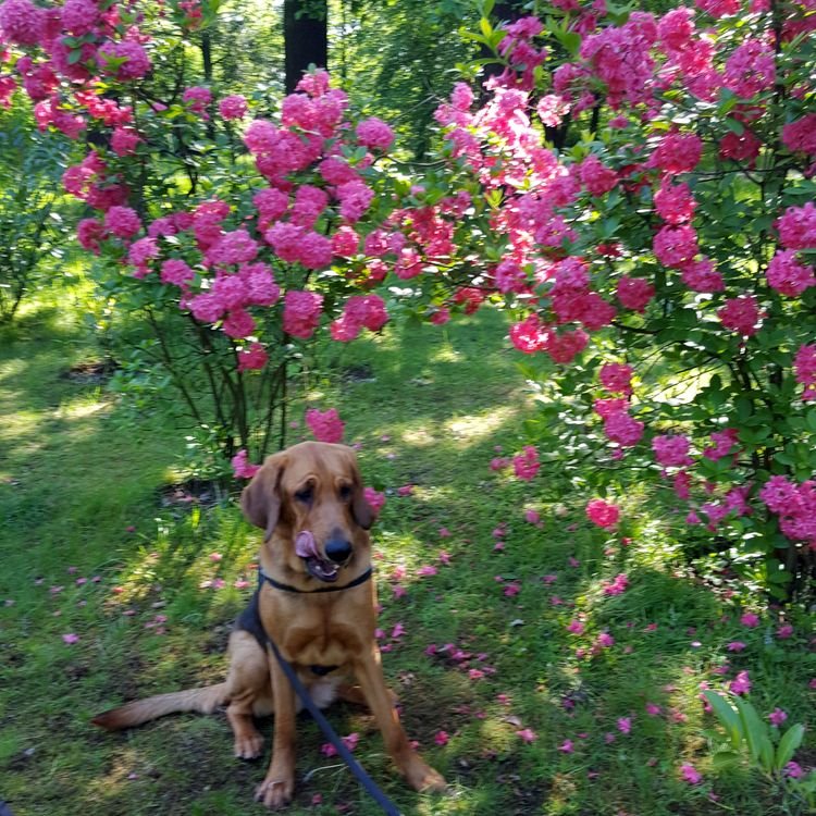 20190526_092447.jpg