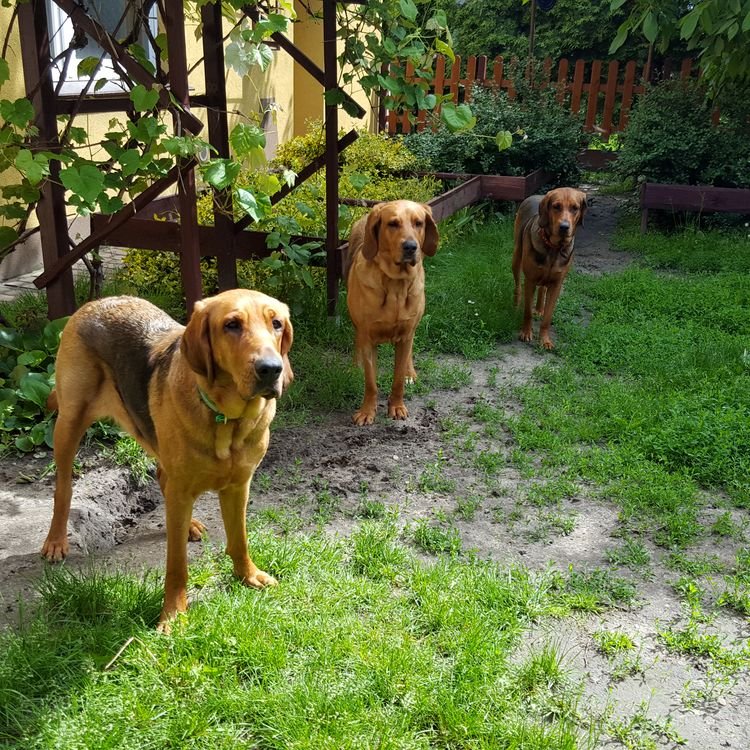 20190529_104307.jpg