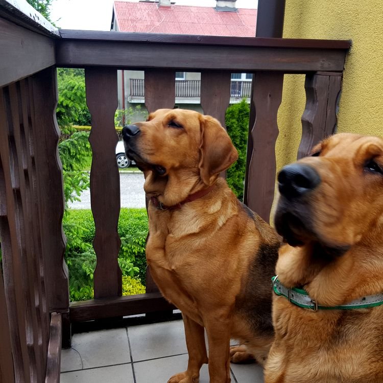 20190529_081015.jpg