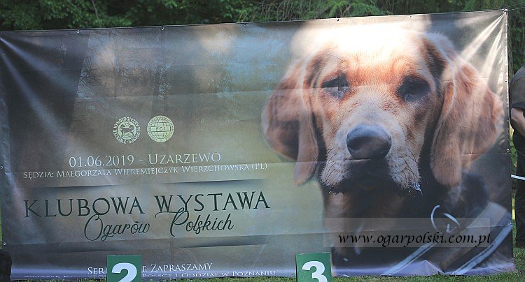 Wielkie oko patrzy :).