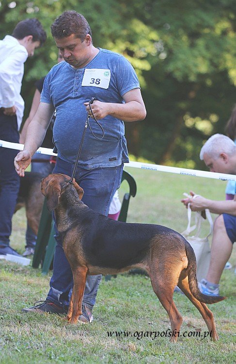 Bardzo dzielni i mądrzy opiekunowie suni - inni po takiej krytyce dotyczącej wagi pewnie obrażeni wyszliby, a oni walczą i efekty są!!!