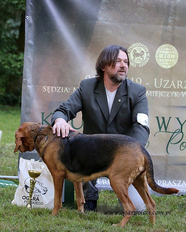 Fraszka.