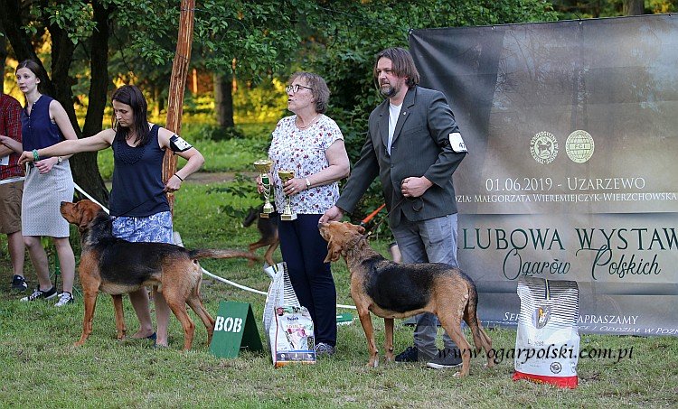 Zwycięzcy Klubu 2019!!!