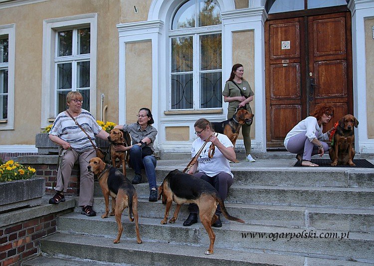 Ogary i ich kobiety!