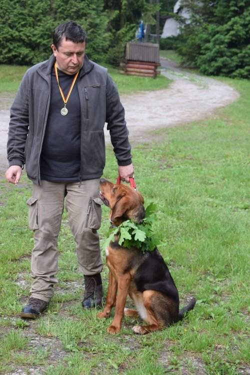 nie wiem czy jesteś dumny ze mnie , ale jest duzo lepiej niż ostatnio.JPG