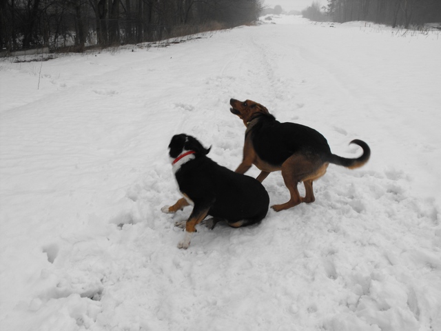 DSCF5152.JPG