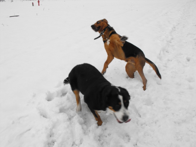 DSCF5153.JPG