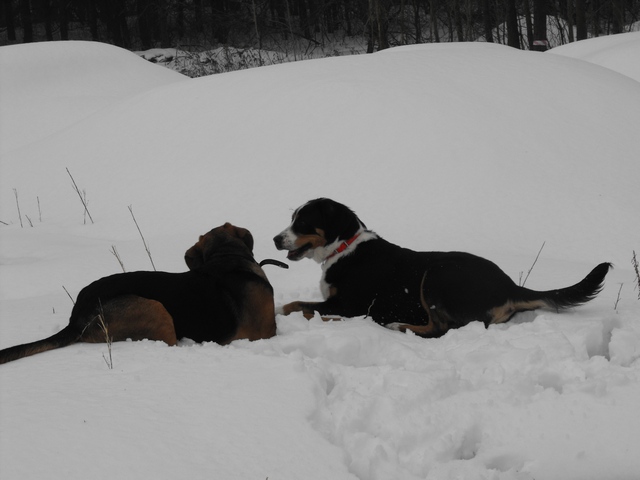 DSCF5159.JPG