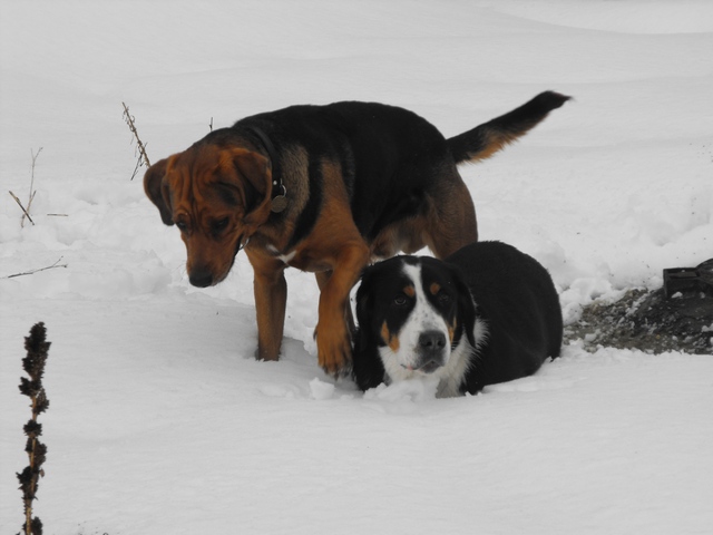 DSCF5171.JPG