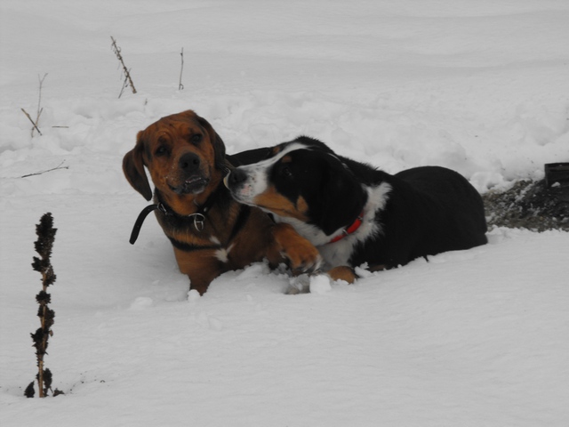 DSCF5172.JPG