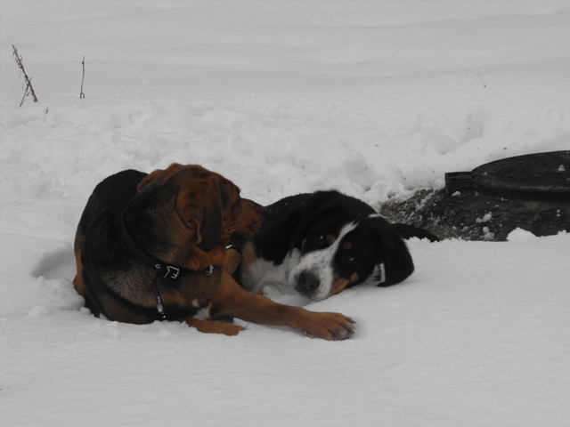 DSCF5174.JPG