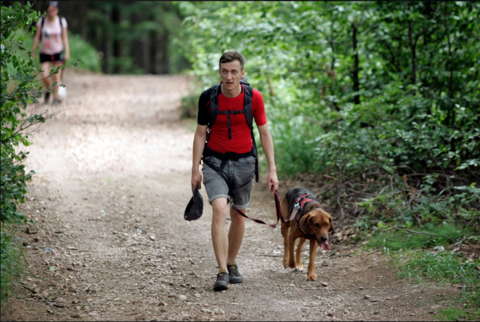 Bohun zdjęcie organizatora http://dogtrekking.com.pl/