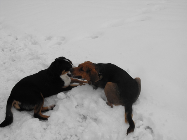 DSCF5183.JPG