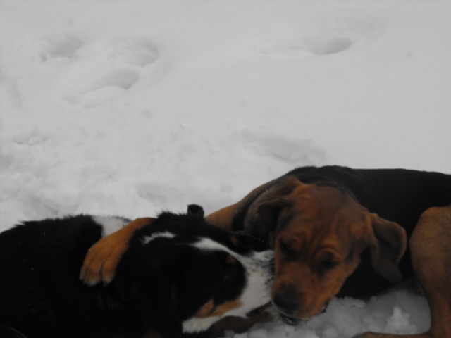 DSCF5184.JPG