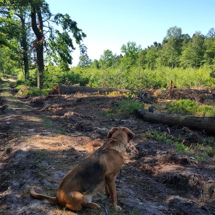 20190617_093637.jpg