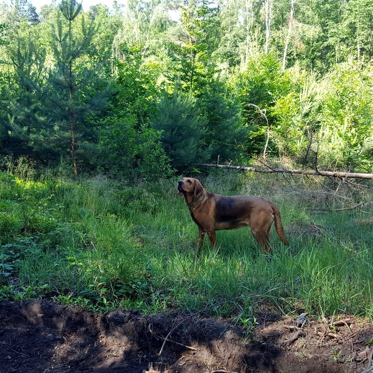20190617_094033.jpg