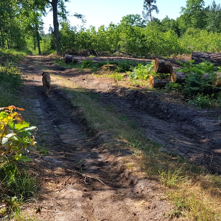 20190617_094204.jpg