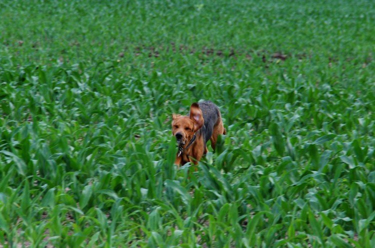 DSC_7543.JPG