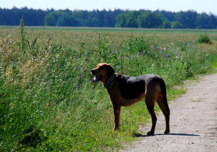 DSC_7575.JPG