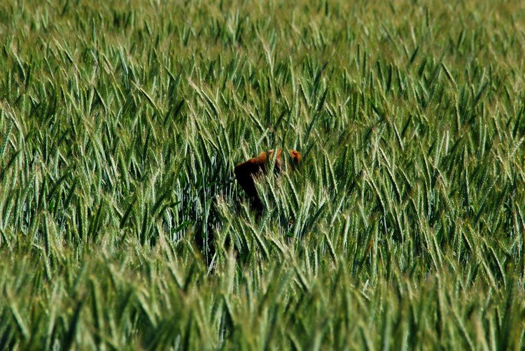 DSC_7597.JPG