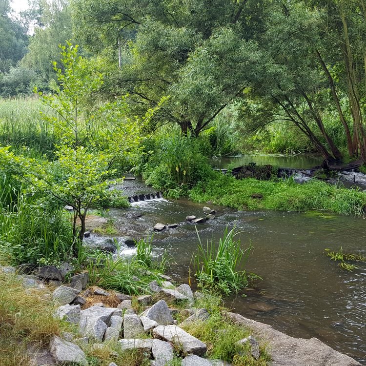 20190622_082528.jpg