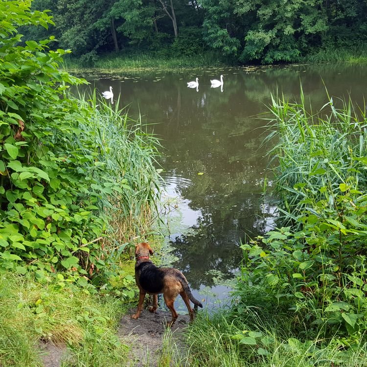 20190622_084300.jpg