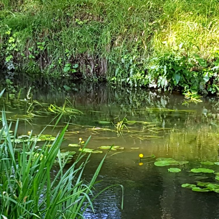 20190622_084826.jpg